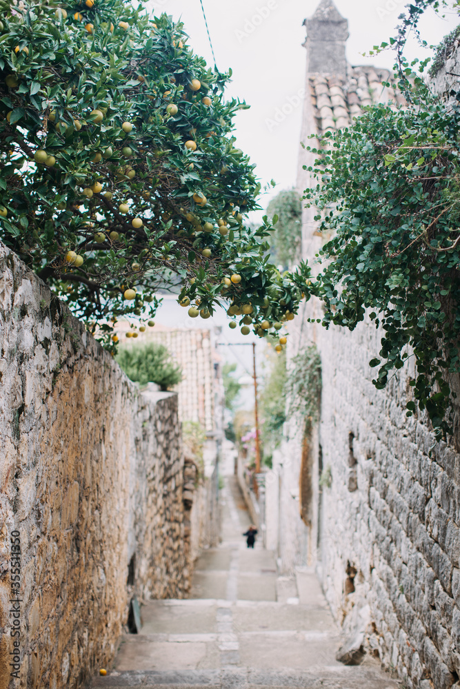 narrow street in the old town of jerusalem