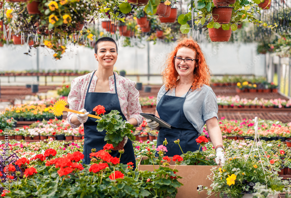 Two female florists working with flowers in a greenhouse, preparing online orders using a tablet.