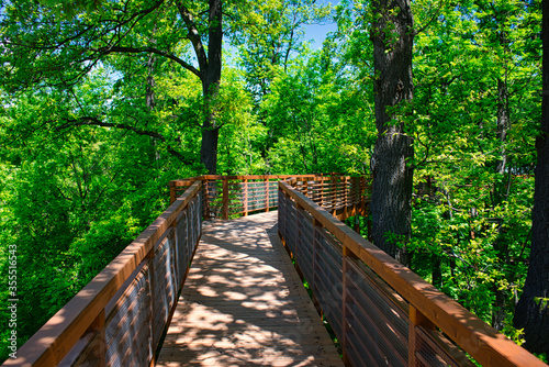 Canopy walkway in an oak forest near town Karcag photo