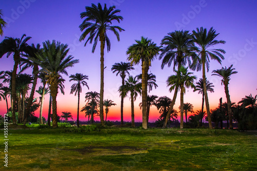 Nile river at sunset in Luxor  Egypt.