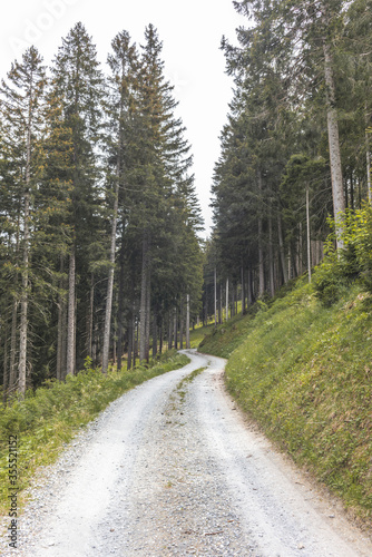A curvy gravel road in the woods of Lenzerheide in the Swiss Alps in spring