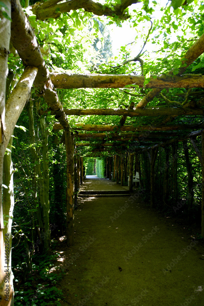 Botanischer Garten in Gütersloh, Laubengang, begrünter Weg im Schatten