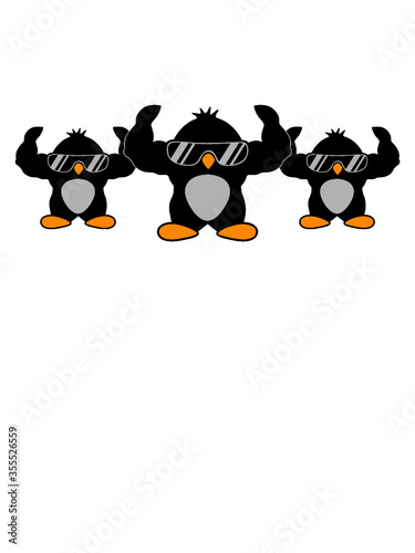 3 lustige Pinguine Musulös Vogel heiß hübsch 