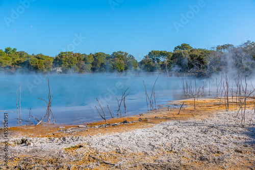 Geothermal pond at Kuirau park in Rotorua, New Zealand photo