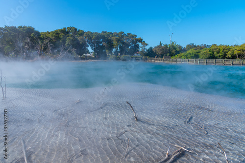 Geothermal pond at Kuirau park in Rotorua, New Zealand photo