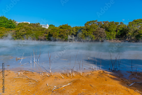 Geothermal pond at Kuirau park in Rotorua, New Zealand photo