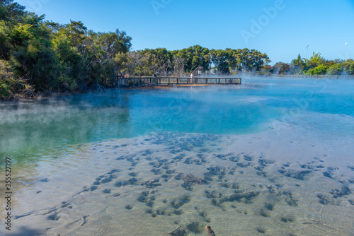 Geothermal pond at Kuirau park in Rotorua, New Zealand photo