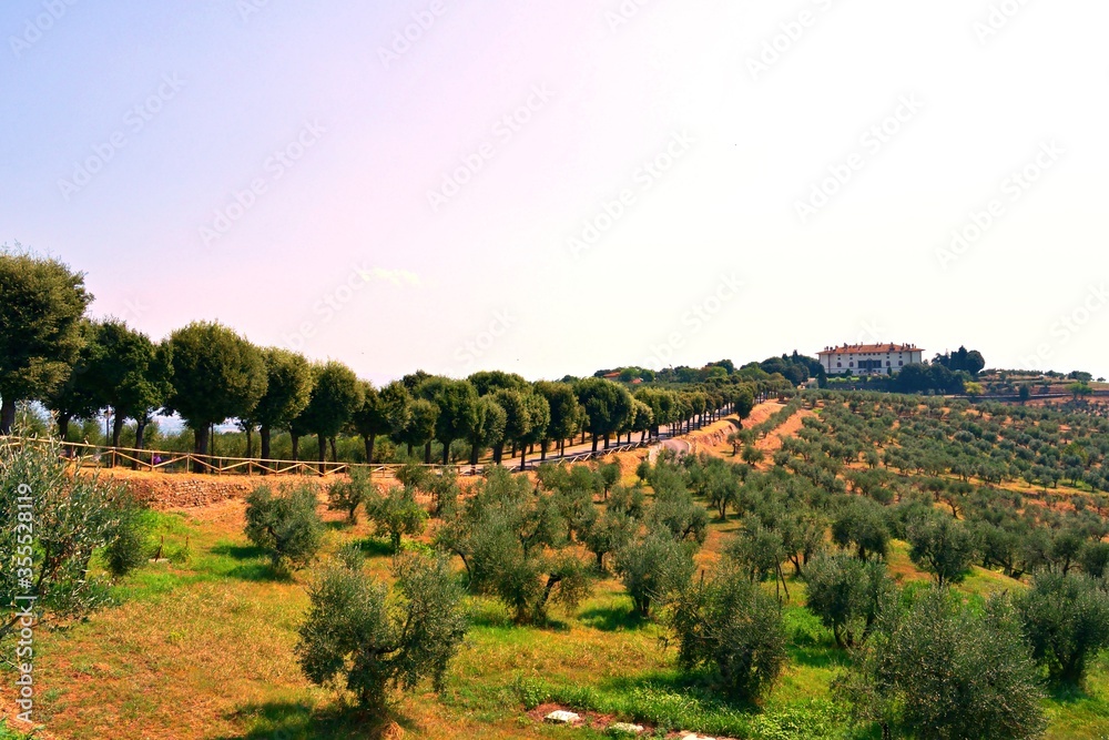 landscape of the Tuscan countryside in Artimino with the Medici Villa in the background in the municipality of Carmignano in the city of Prato in Italy