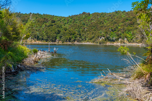 Rotomahana lake near Rotorua, New Zealand photo