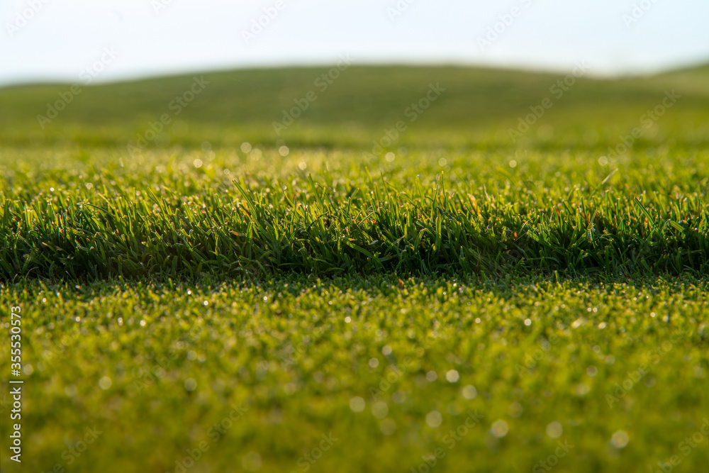 green short grass lawn, fresh cutting lawn-mower
