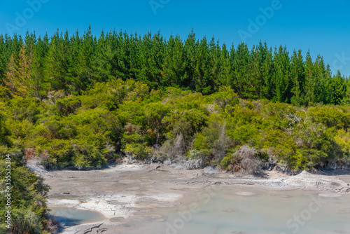 Mud pools at Wai-O-Tapu at New Zealand photo