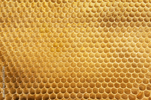 yellow beecomb background with empty cells for honey with hexagon shapes, apiculture concept