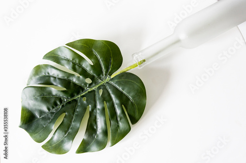 fresh green leaf