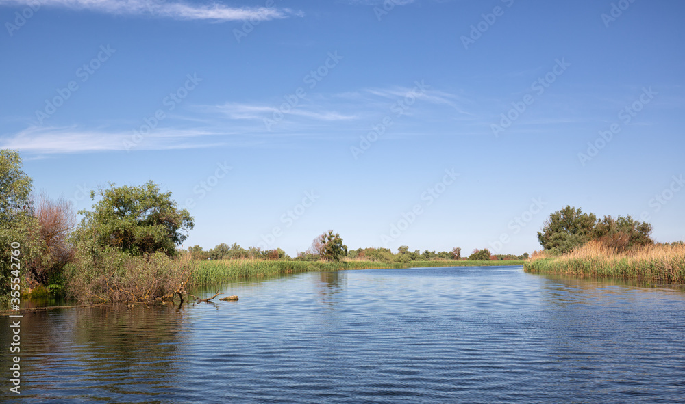 Landscape from the Danube delta wetland.