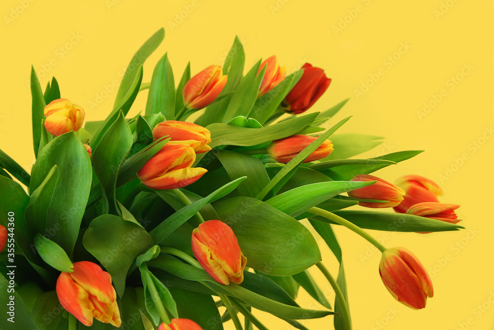 Yellow red-yellow tulips bouquet isolated on yellow background. Yellow red-yellow tulips bouquet isolated on yellow background.