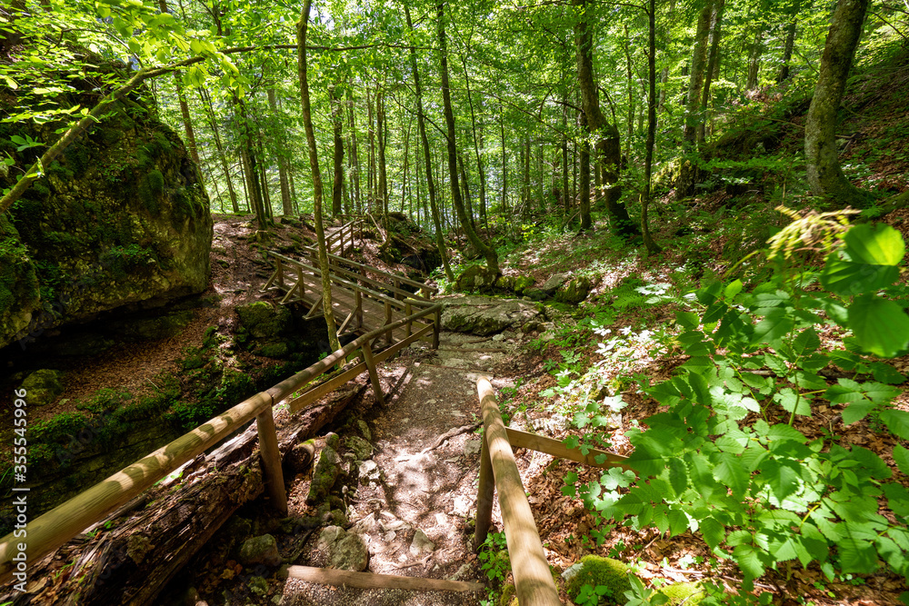 Obraz premium Trench in the rock, made by raftsmen centuries ago, deep in the primeval forest surrounding the legendary Lake Kammersee and Toplitzsee, Austria