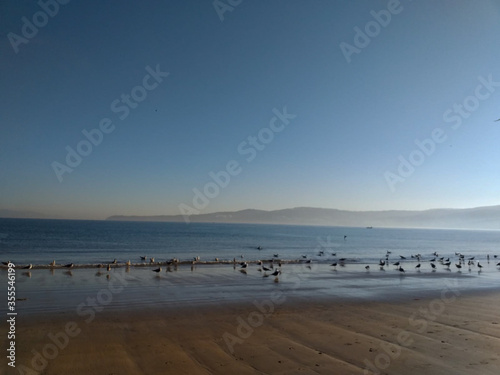 Sea beach in the early morning with a little fog and seagulls.View of Empty Beach Early in the Morning © Алеся Макаревич
