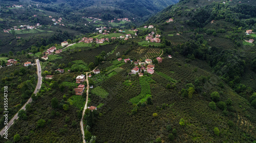 Aerial view of a village and forest in ordu city. hazelnut farm natural life photo