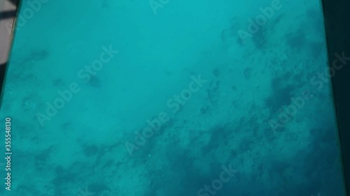 View of the deep life of Red Sea through a transparent window in the floor of a tourist boat (20). Smooth motion over turquoise water, blue fish and coral reefs, excursion in Sharm El Sheikh (Egypt)