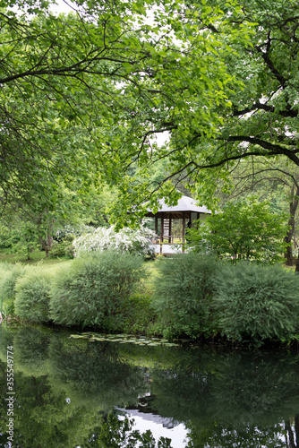 spring, summer, small white flowers, bridal veil, Japanese garden, summer veranda