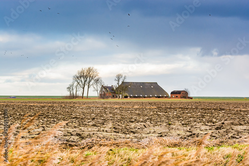 Warffum, Netherlands - January 10, 2020. Old farm in the middle of the field on flat surroundings near the sea photo