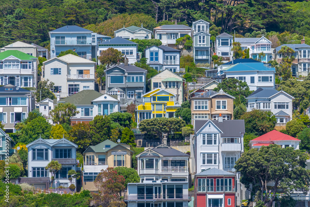 Φωτογραφία Traditional residential houses at Mount Victoria in Wellington, New Zealand