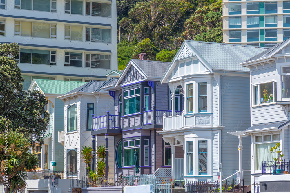Φωτογραφία Traditional residential houses at Mount Victoria in Wellington, New Zealand