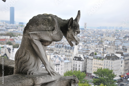 Gargoyle over the city © Jolanda