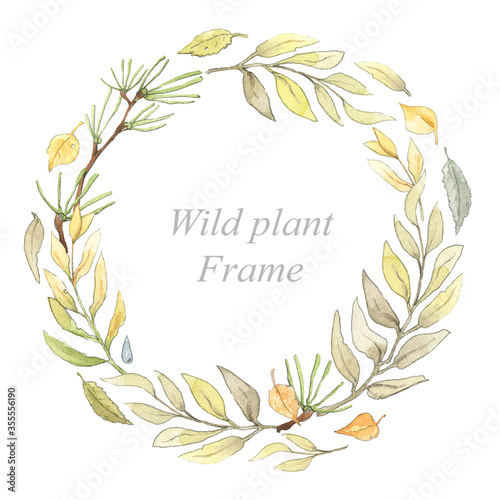Frame leaves branches willow pine birch botanical plant circle white background isolated pattern design watercolor