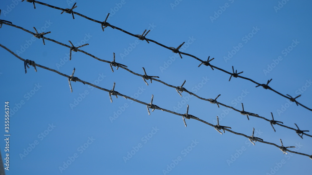 Rusty barbed wire against a cloudy sky. Serving a sentence behind barbed wire. Fencing. Rusty barbed wire against a cloudy sky. Serving a sentence behind barbed wire. Fencing.