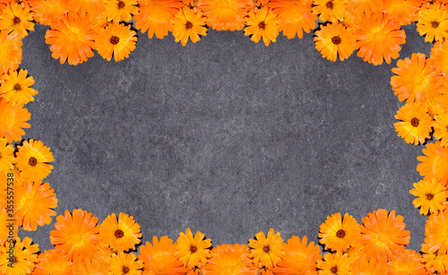 Calendula officinalis flowers, Marigold flowers frame on a grey slate