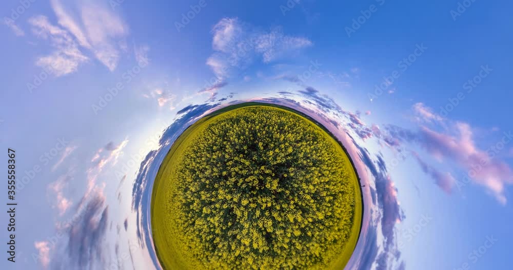 Abstract torsion and spinning of full flyby panorama landscape in canola rapeseed field. Curvature of space of little planet transformation. 