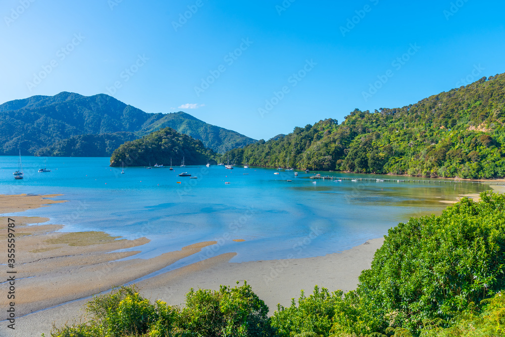 Φωτογραφία Ngakuta bay at Queen Charlotte sound at South Island of New Zeland