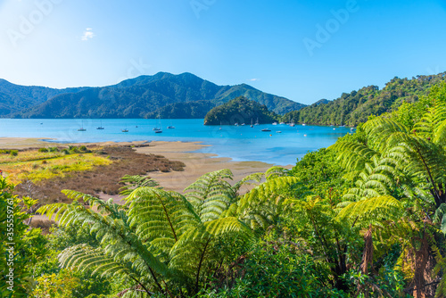 Ngakuta bay at Queen Charlotte sound at South Island of New Zeland photo
