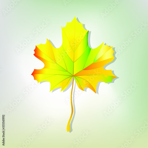 autumn maple leaf