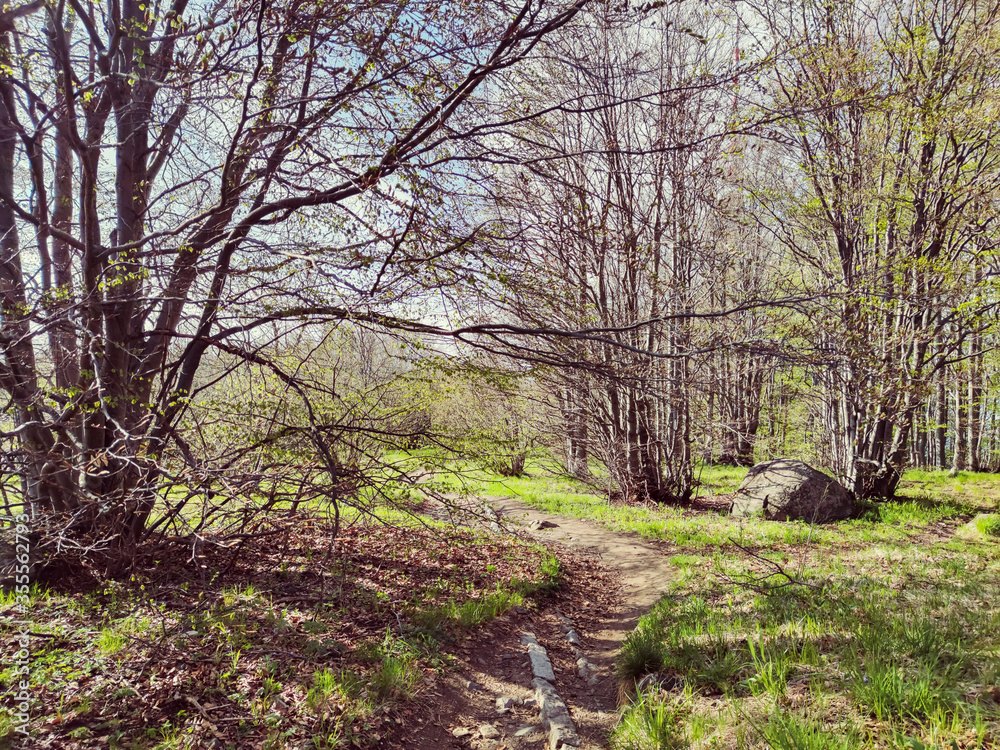 Spring landscape of Vitosha Mountain, Bulgaria Spring landscape of Vitosha Mountain, Bulgaria