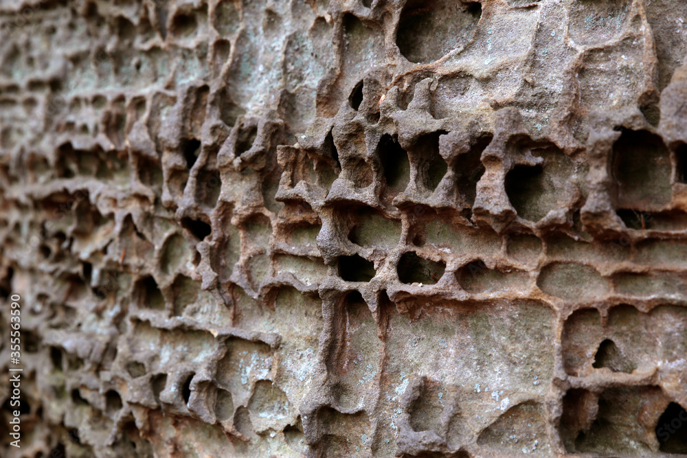 Differential solution of a limestone rock due to the chemical weathering. Berdorf, Luxembourg. Photo is +/- 0.5m across Differential solution of a limestone rock due to the chemical weathering. Berdorf, Luxembourg. Photo is +/- 0.5m across