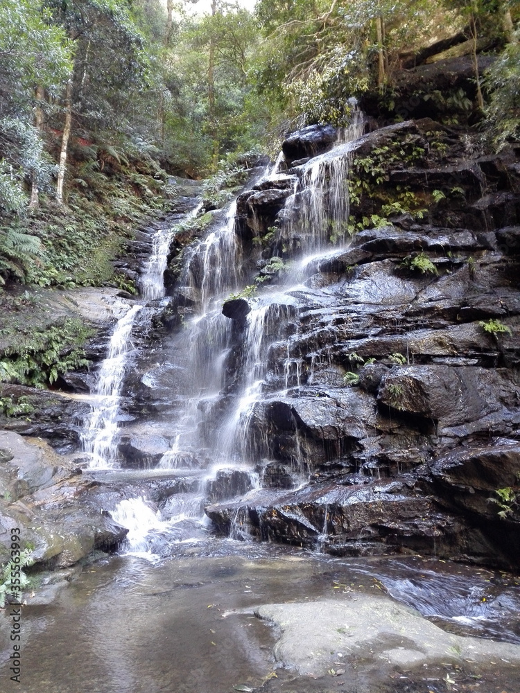 Fototapeta premium Waterfall Blue Mountains Sydney, Australia