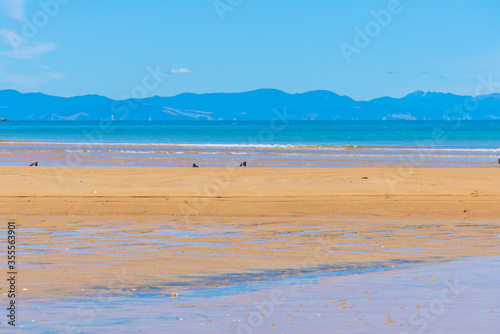 Onetahuti beach at Abel Tasman national park in New Zealand photo