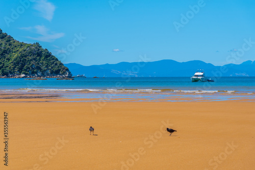 Onetahuti beach at Abel Tasman national park in New Zealand photo