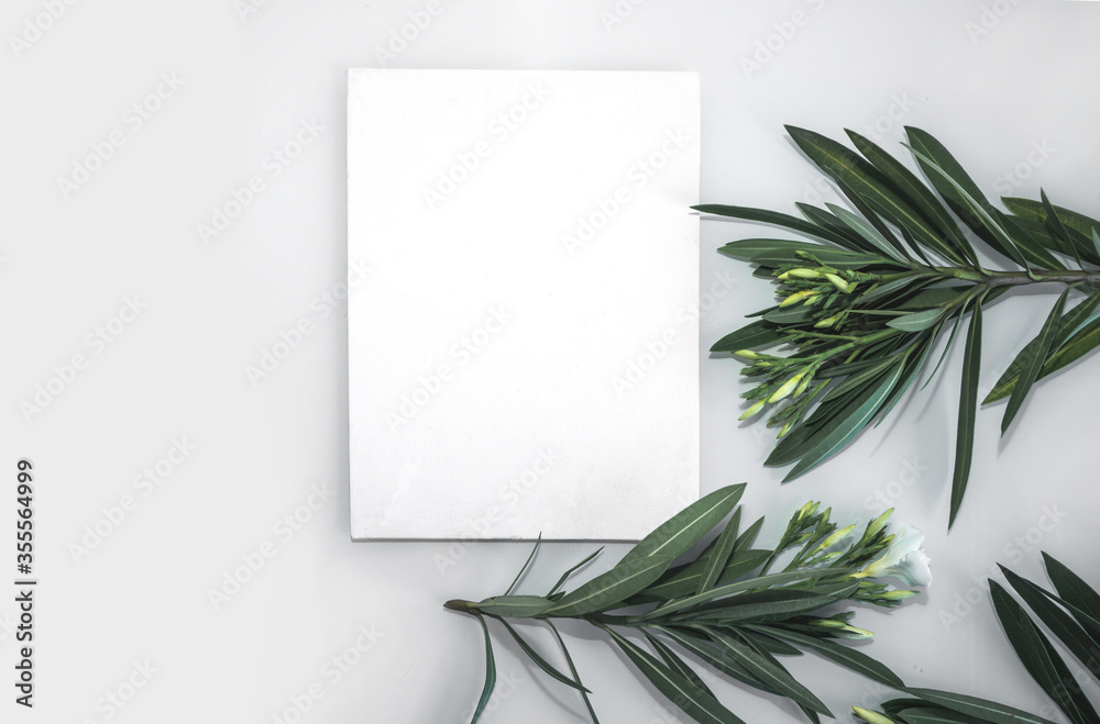 White paper on a light background and green branches. Summer concept. Flat lay, top view, copy space White paper on a light background and green branches. Summer concept. Flat lay, top view, copy space
