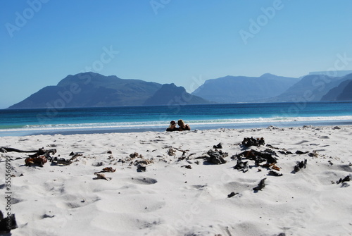 couple on the beach