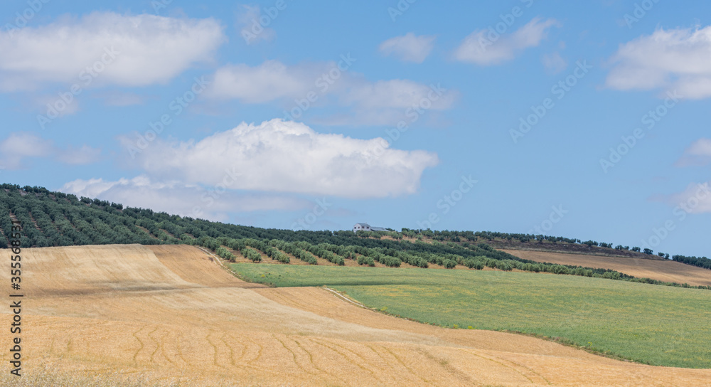Agricultural landscape in Andalusia