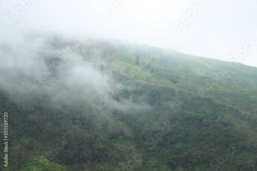 the peak of Mount Arjuno  Indonesia with thick fog. fresh mountain scenery in the rainy season