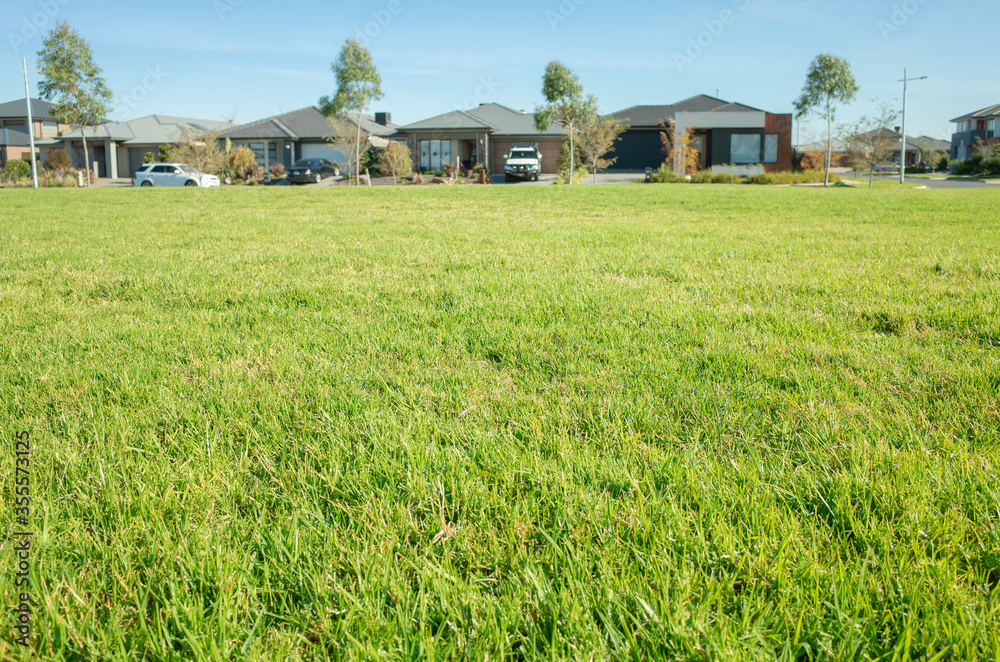 Close up of green and healthy grass in a public park with a blurry view of suburban houses in the background. Melbourne, VIC Australia.
