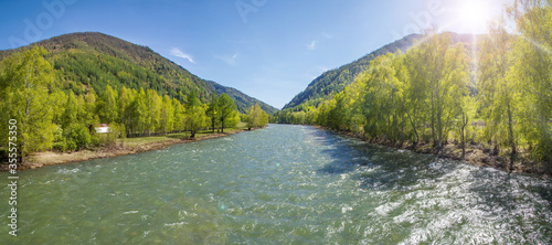 Clean mountain river flows among forested slopes. Spring greens and shining sun.