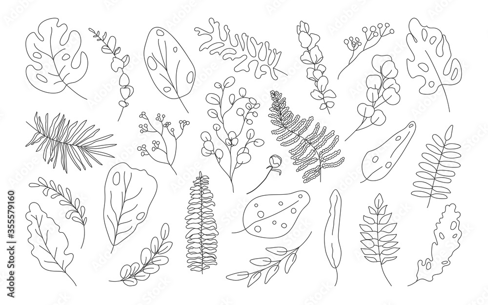 Set of exotic contour tropical leaf. Hand drawn different abstract jungle floral botanic leaves palm, monstera for decorative composition or invitation card. Isolated on white vector illustration Set of exotic contour tropical leaf. Hand drawn different abstract jungle floral botanic leaves palm, monstera for decorative composition or invitation card. Isolated on white vector illustration