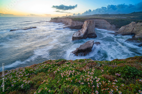 Shark Fin Cove Beach, California
