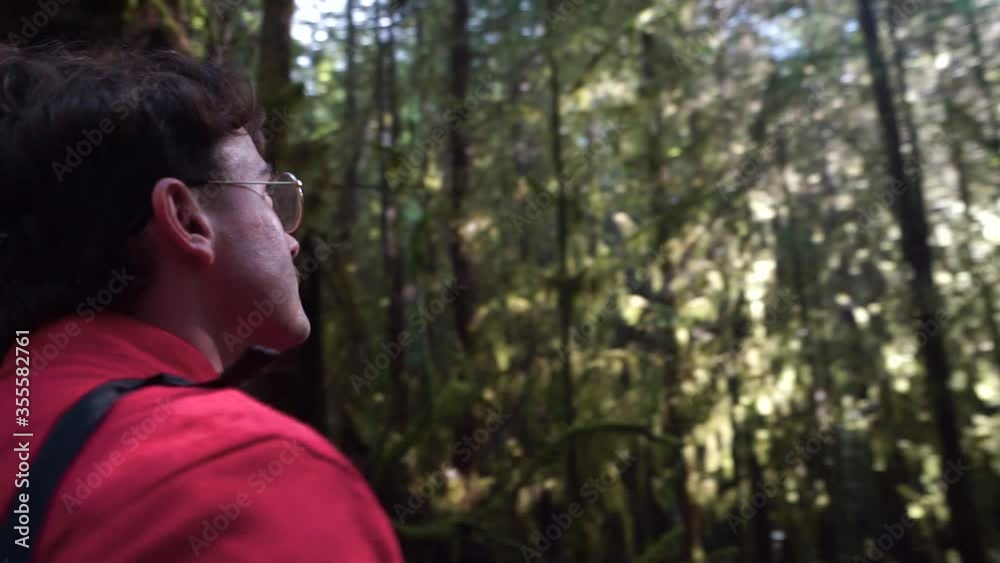 Man walks through forest, stops and looks up at the sunshine Man walks through forest, stops and looks up at the sunshine