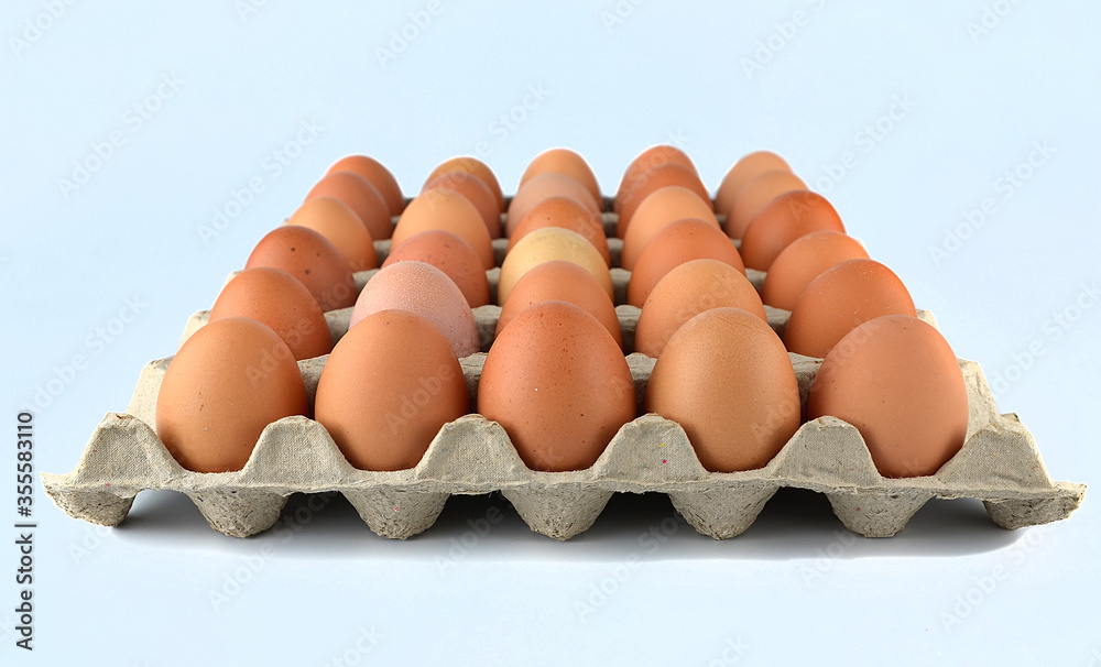 Chicken eggs in the egg tray isolated on the white background. Chicken eggs in the egg tray isolated on the white background.
